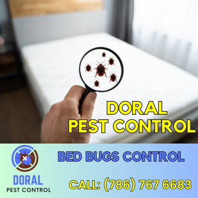 Bed Bug Control Doral - Eliminate Bed Bugs for a Comfortable Night's Sleep