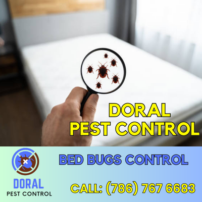 Awesomepest Bed Bug Exterminator Dallas Llc