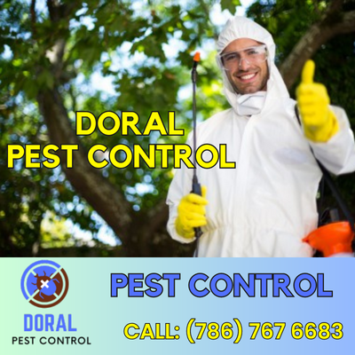Doral Pest Control Is Your Ultimate Solution for Pest Problems